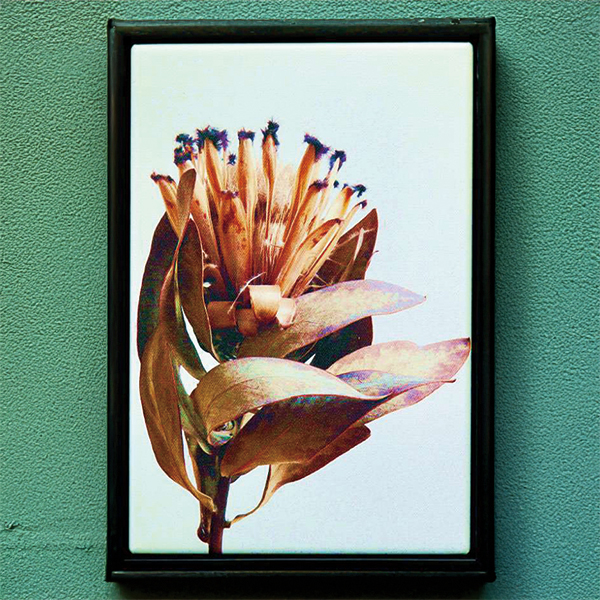 canvas float frame